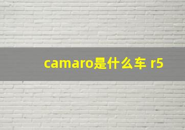 camaro是什么车 r5